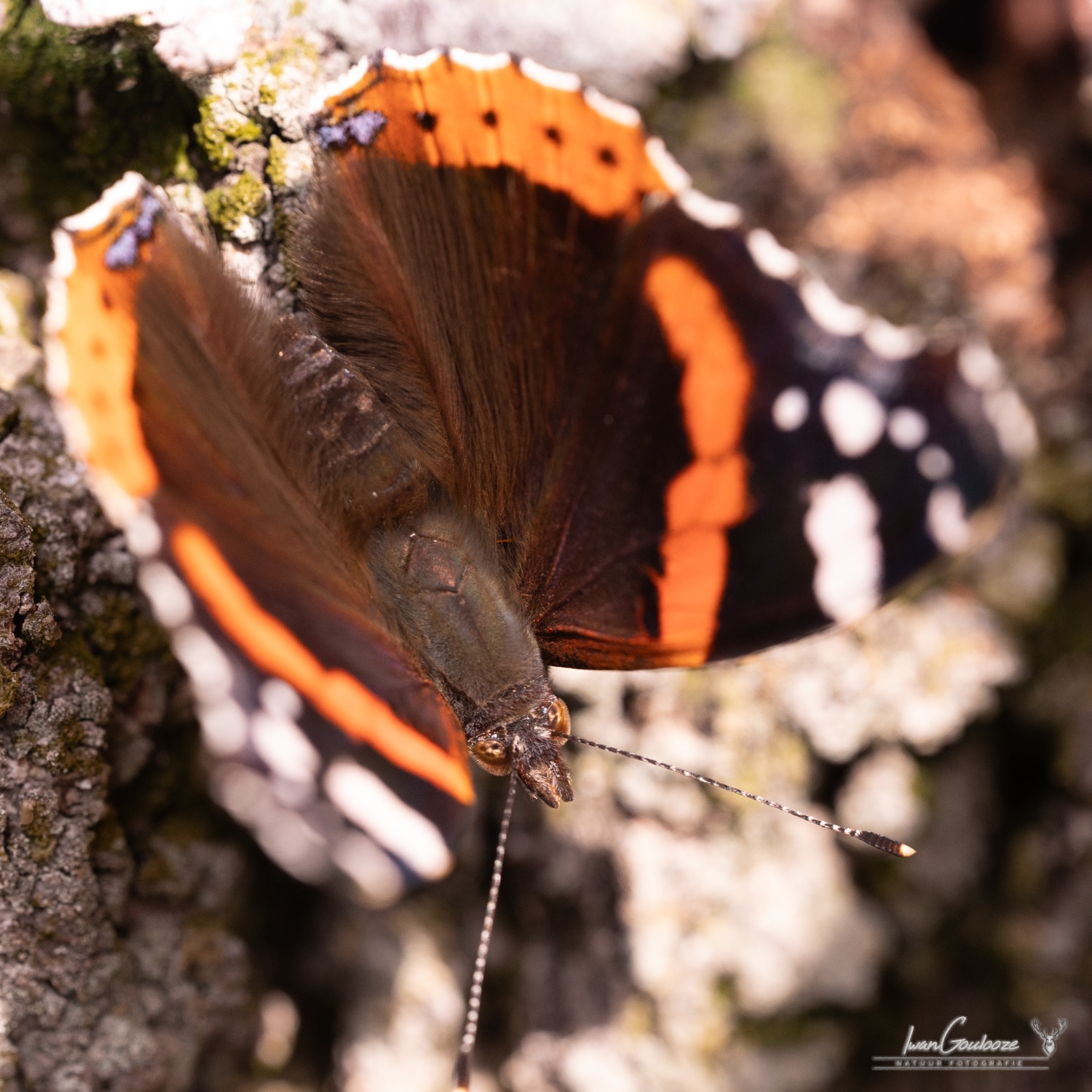 16 september 2023 122433  R2A2722